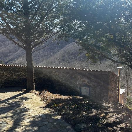 Mas Caraus Apartment Montferrer Bagian luar foto