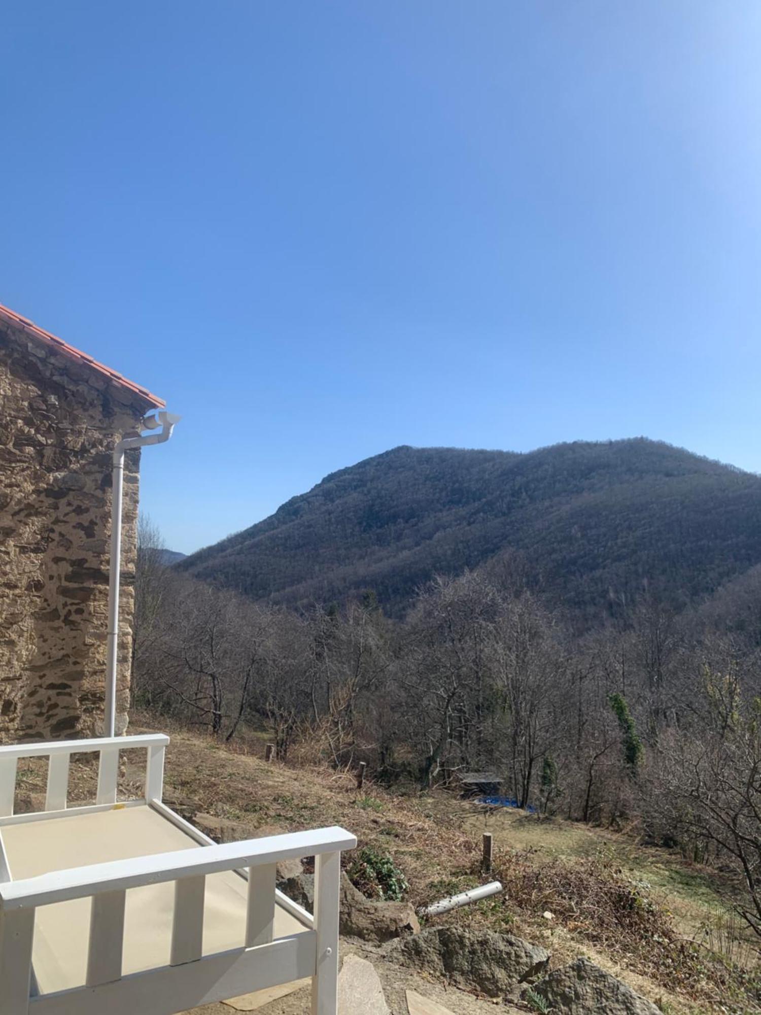 Mas Caraus Apartment Montferrer Bagian luar foto