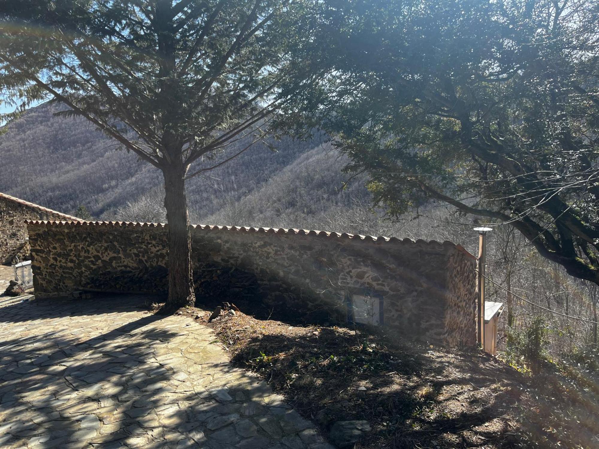 Mas Caraus Apartment Montferrer Bagian luar foto